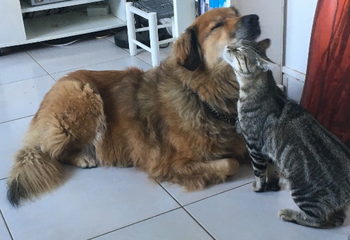 tex_schrodinger