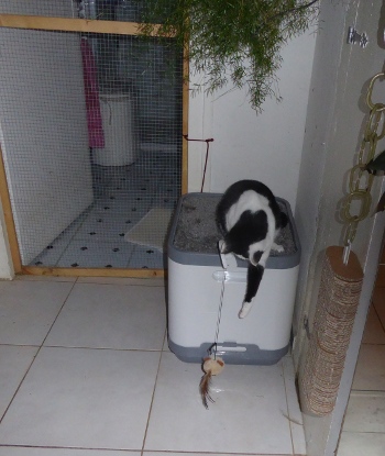 filou