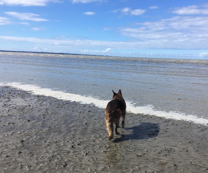 plage