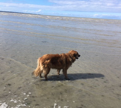 plage