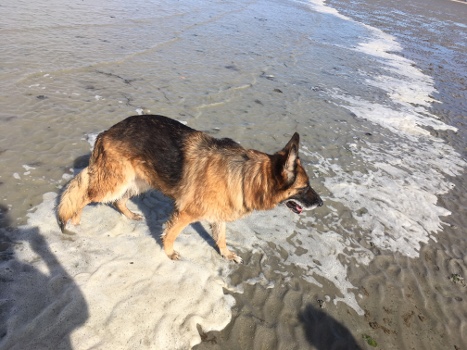 plage