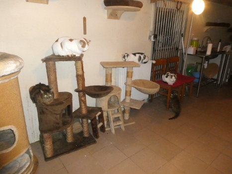 groupe
