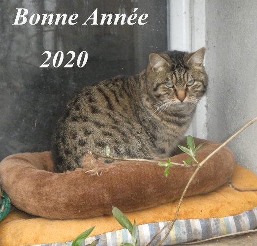 bonneannee