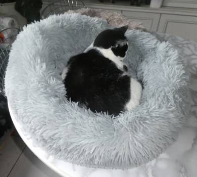 coussin