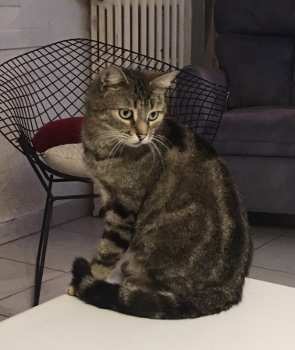 schrodinger